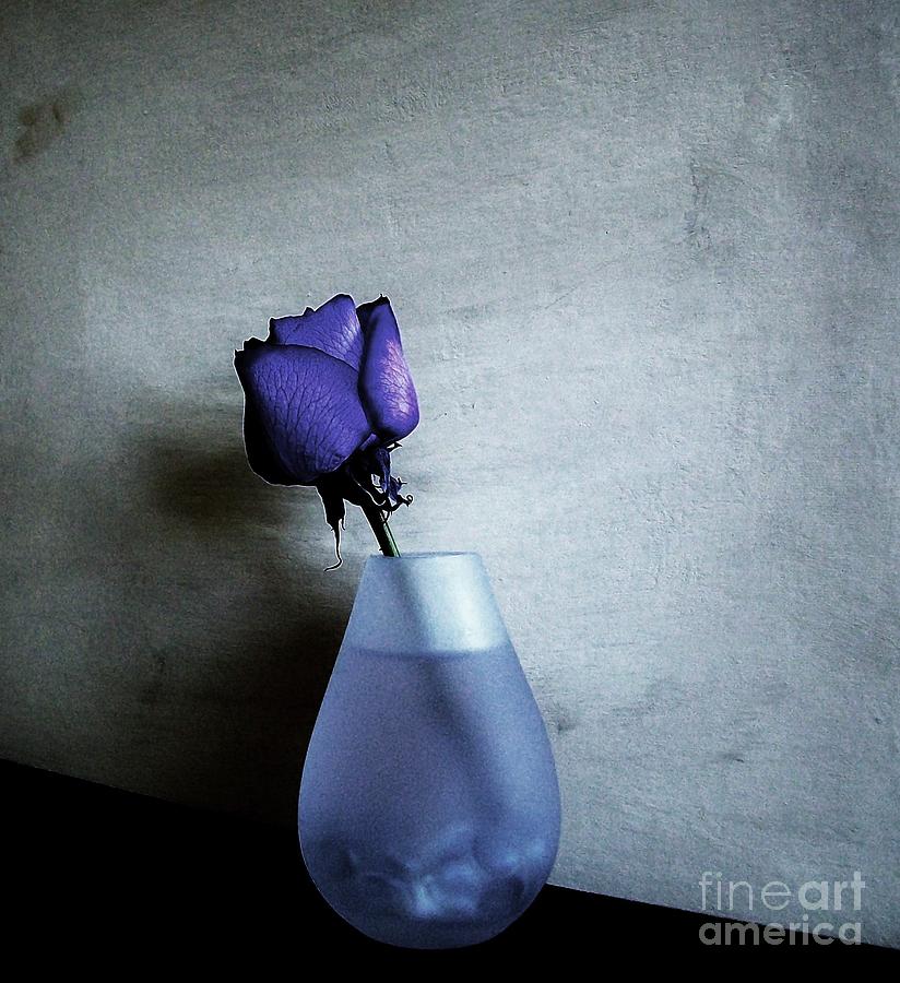 Still Life Photograph - Purple Distressed by Marsha Heiken