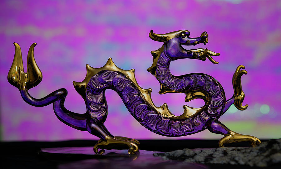Purple Dragon by John Forde Purple Dragon by John Forde