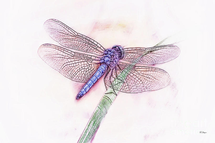 Purple Dragonfly Digital Art by Rebecca Langen