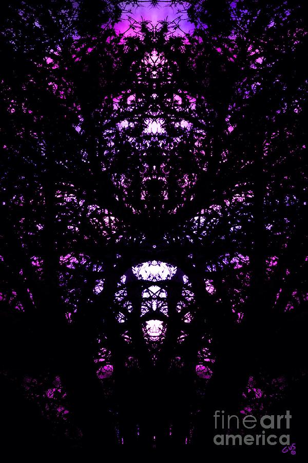 Purple Dreams Trees Photograph by Nick Gustafson