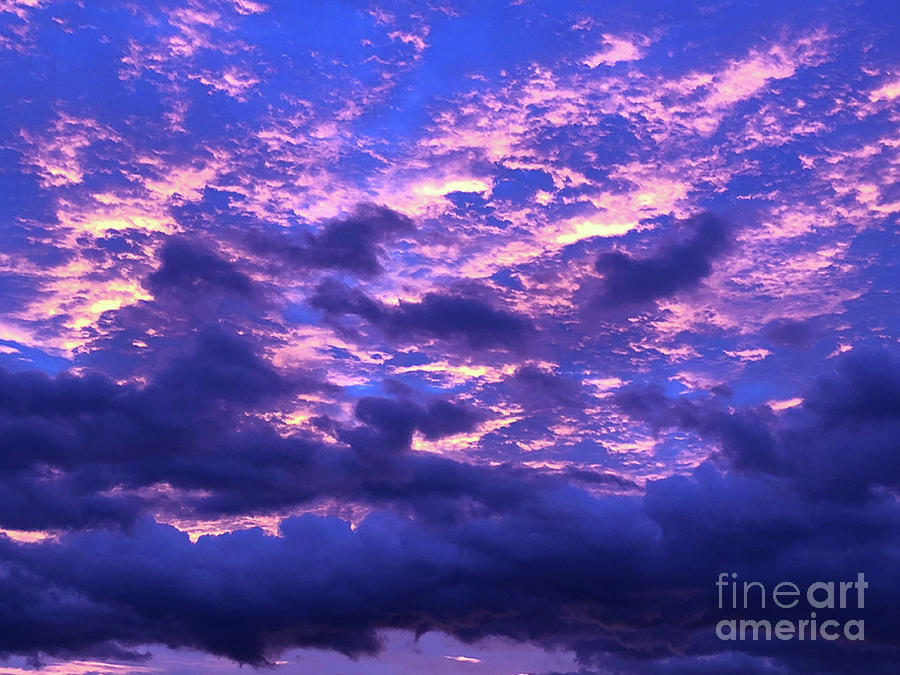 Purple Explosion at Sunrise Digital Art by J Marielle