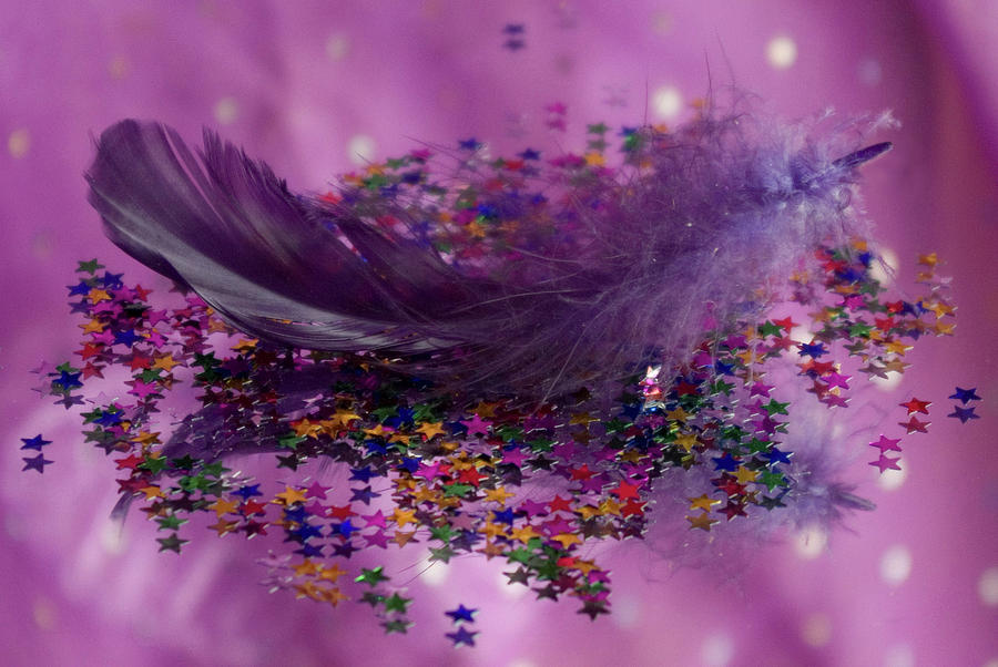 Fairy Photograph - Purple Fairy Feather by Pixie Copley