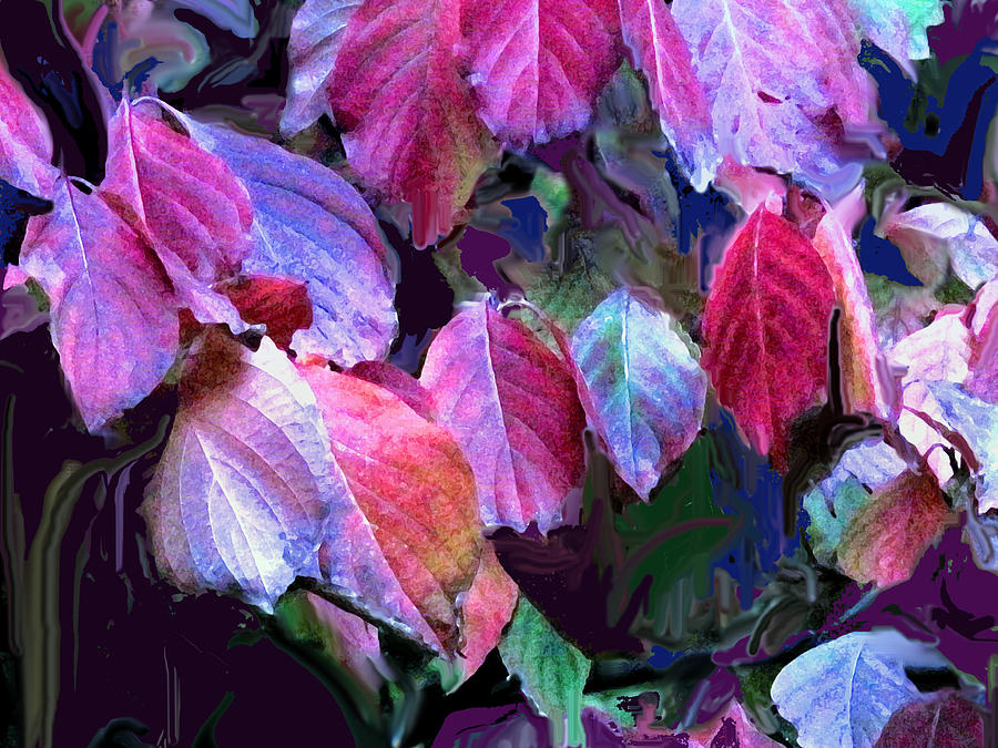 Purple Fall Leaves Photograph by Ian  MacDonald