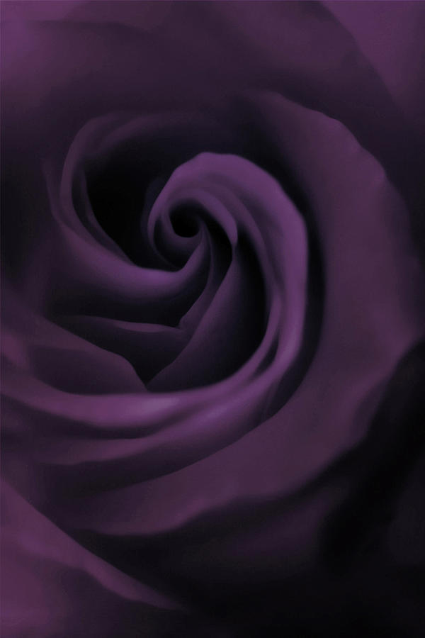 Purple Fantasy Photograph by The Art Of Marilyn Ridoutt-Greene