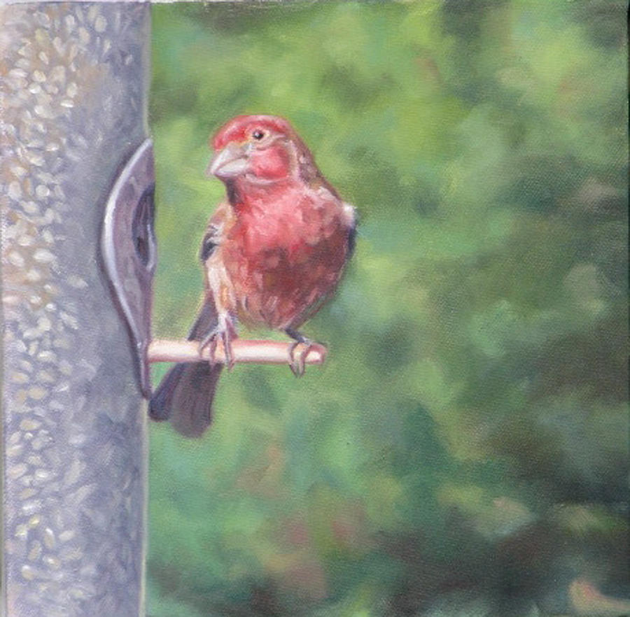 Purple Finch Painting by Cynthia Vowell - Fine Art America