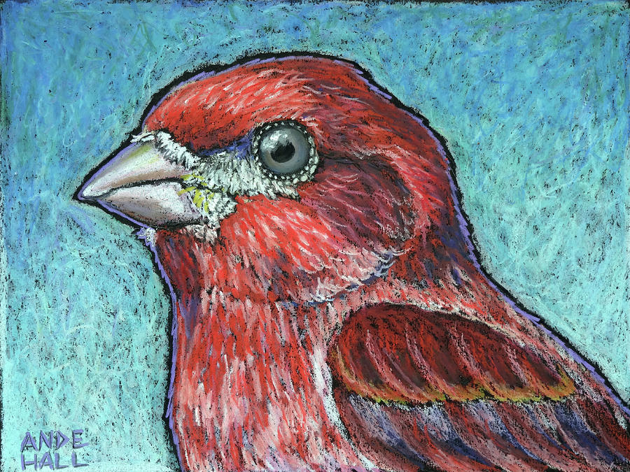Purple Finch Portrait Painting by Ande Hall