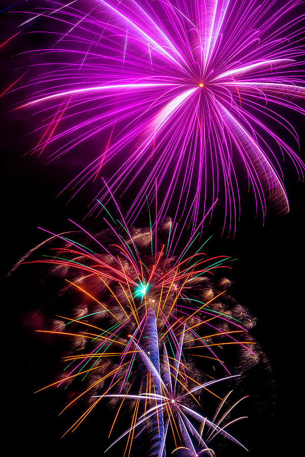 Independence Day Photograph - Purple Fireworks by Garry Gay