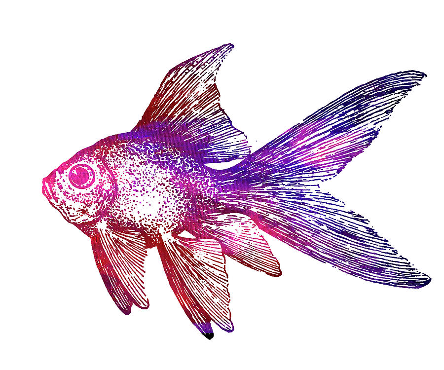 Purple Fish Digital Art by Nancy Merkle