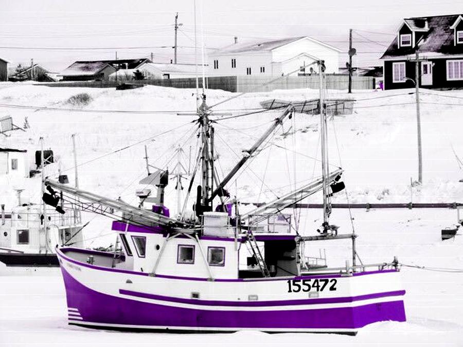 Winter Photograph - Purple fishing boat by Suzan Roberts-Skeats