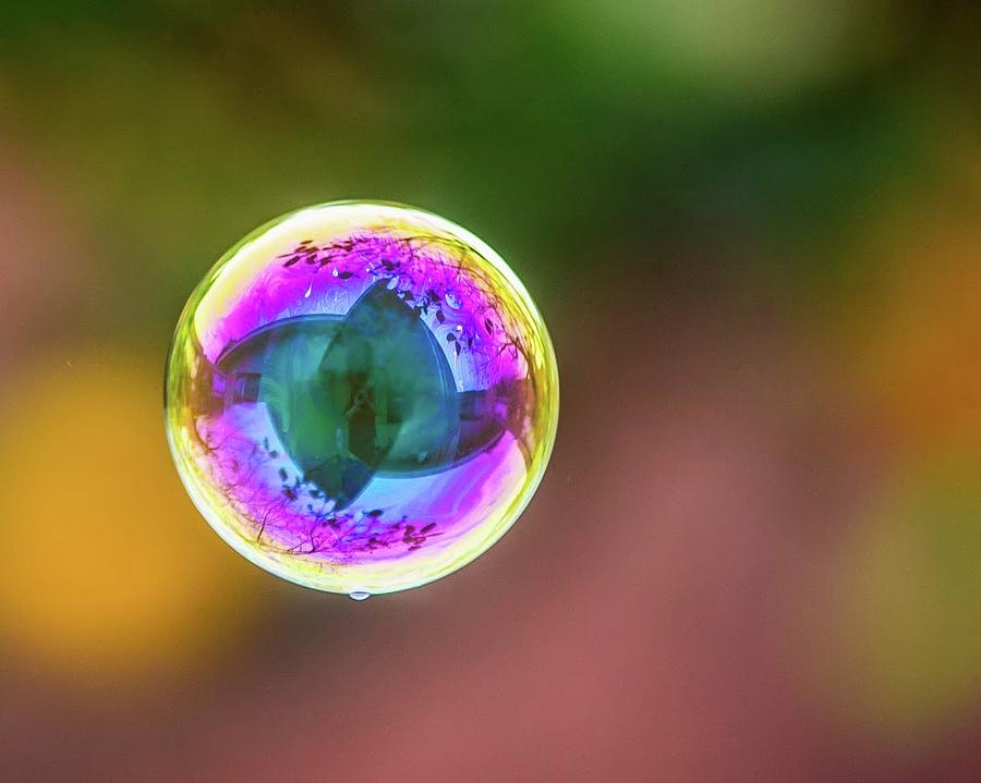 Purple Floating Soap Bubble by Orange Tree Photograph by Rik Strickland ...