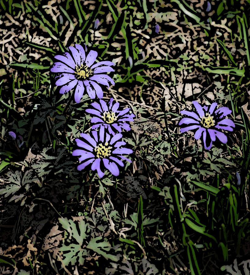 Purple Floral  Photograph by David Lane