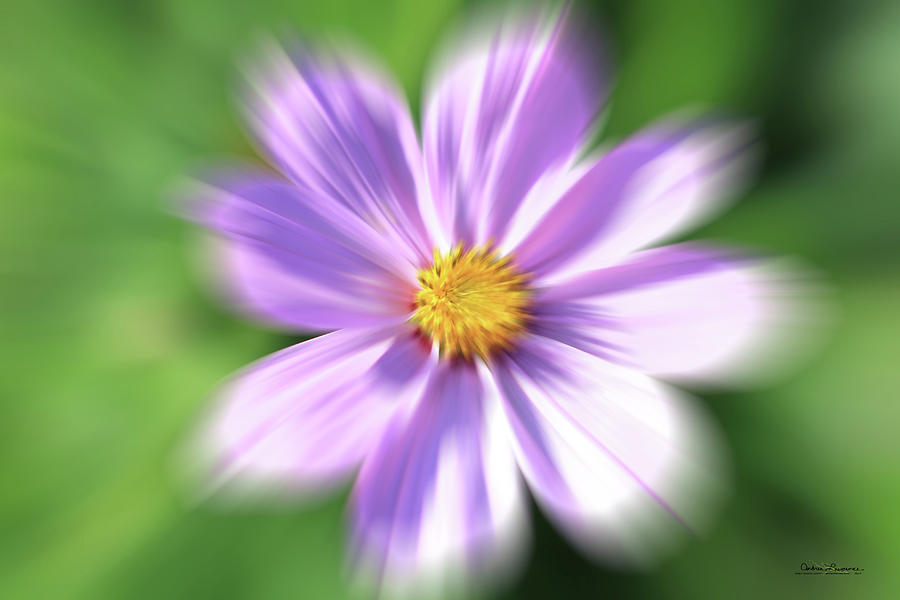 Purple Flower Digital Art by Andrea Lawrence