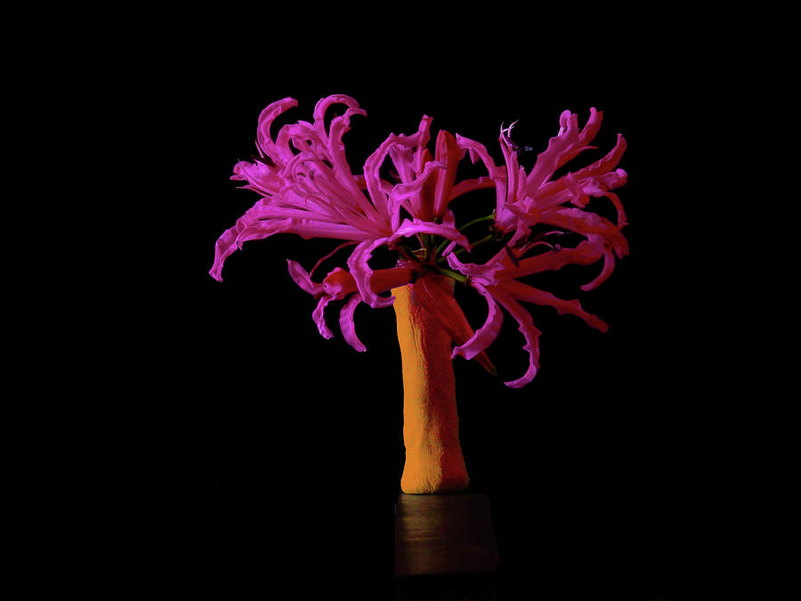 Purple Flower In A Pencil Vase  Photograph by Mark Blauhoefer