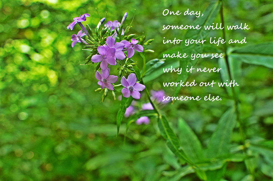 Purple Flower Inspirational Love Quote Photograph by Stacie Siemsen ...