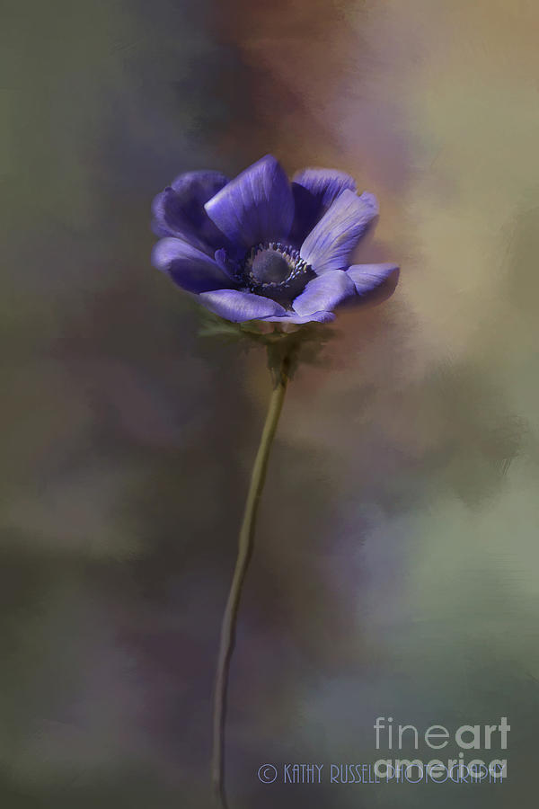 Purple Flower Photograph by Kathy Russell