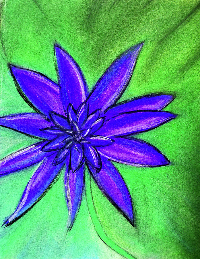 Purple Flower Drawing by Megan Howard