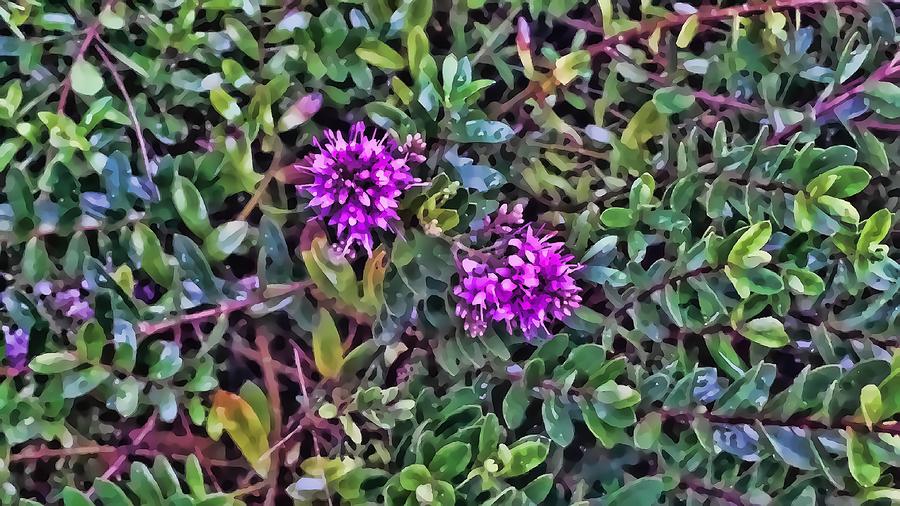 Purple Flowers 2 by Kristalin Davis Photograph by Kristalin Davis