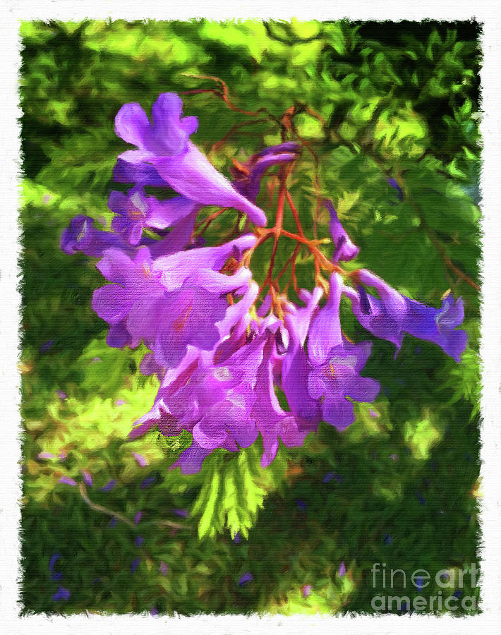 Purple Flowers Photograph by Larry Mulvehill
