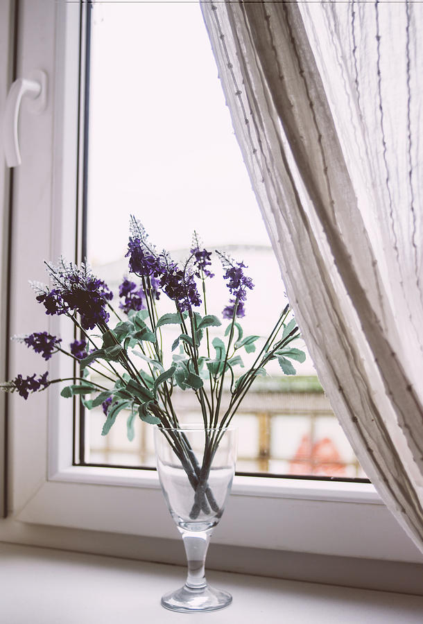 Purple Flowers On The Window Photograph by Pati Photography | Pixels