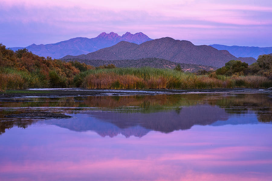 Purple Four Peaks Reflections Photograph by Dave Dilli