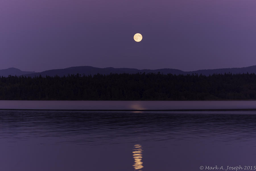 Purple Full Moon Sky Photograph by Mark Joseph