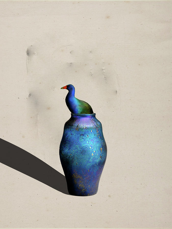 Purple Gallinule In The Vase Digital Art
