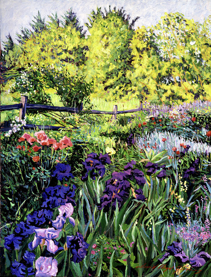 Purple Garden Painting by David Lloyd Glover