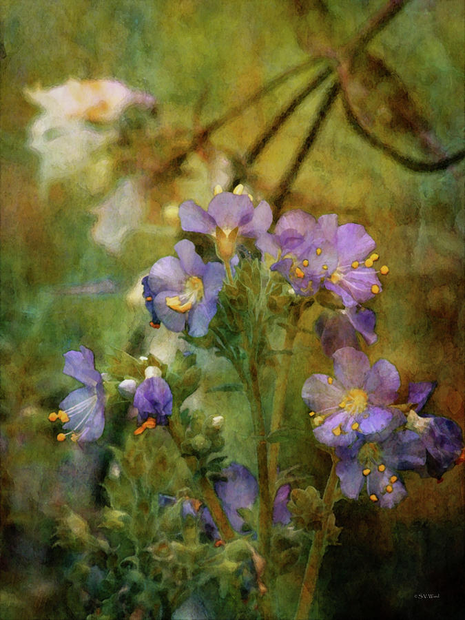 Purple Garden Flowers 1495 IDP_2 Photograph by Steven Ward