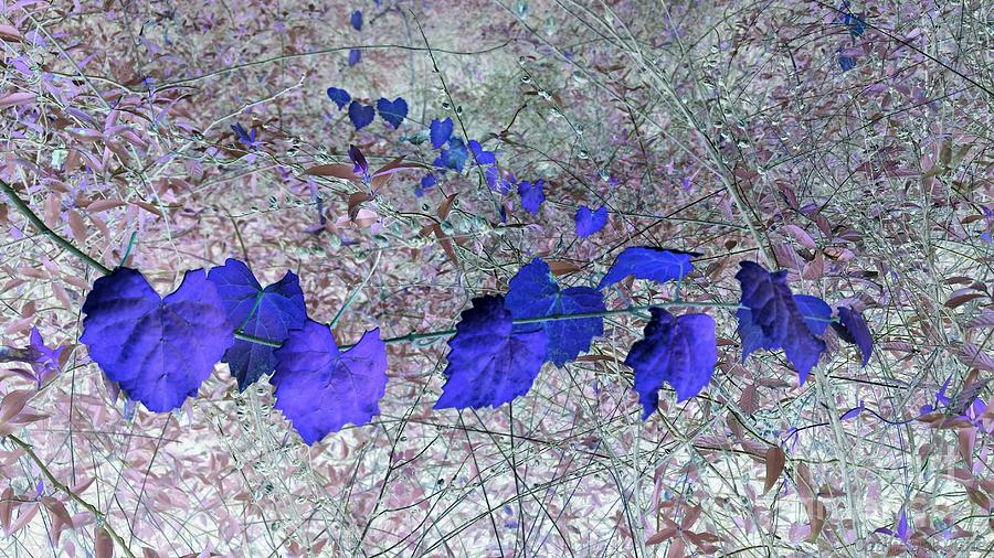 Nature Photograph - Purple Garland by Cathy Dee Janes
