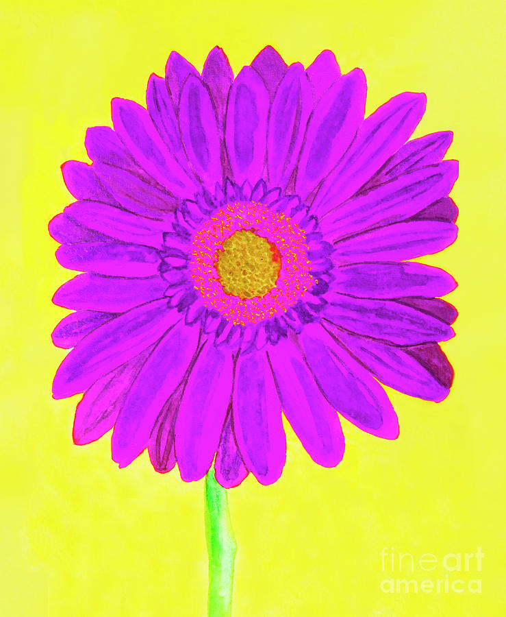 Purple  gerbera on yellow, watercolor Painting by Irina Afonskaya