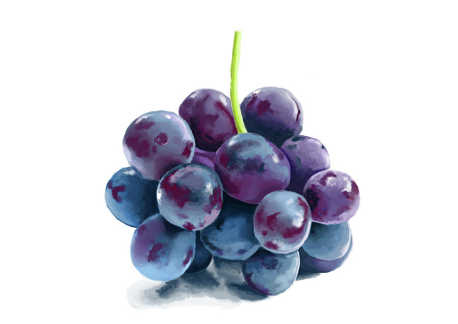 Image result for picture of purple grapes