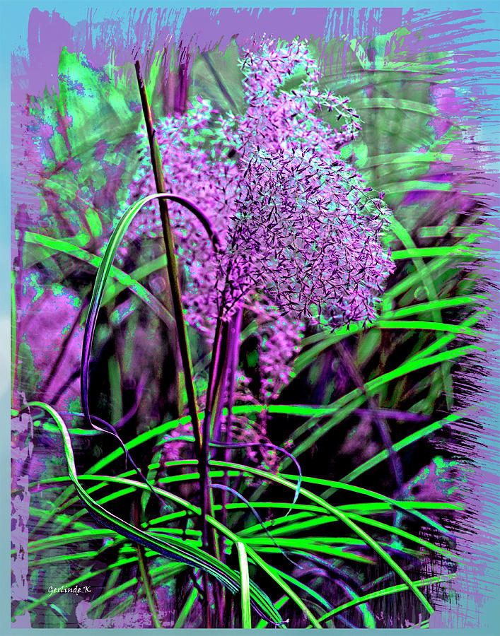 Purple Grasses Photograph by Gerlinde Keating
