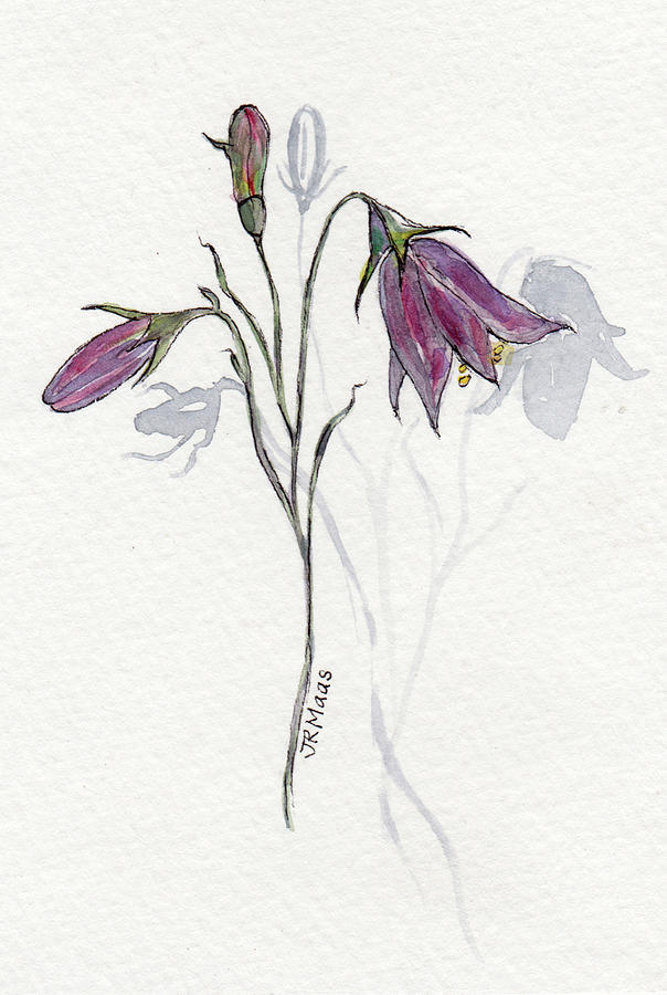 Purple Harebell Painting by Julie Maas