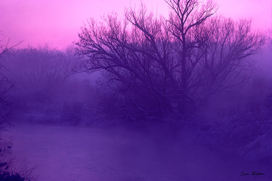 Purple Photograph - Purple Haze by Bruce Thompson Purple Photograph - Purple Haze by Bruce Thompson