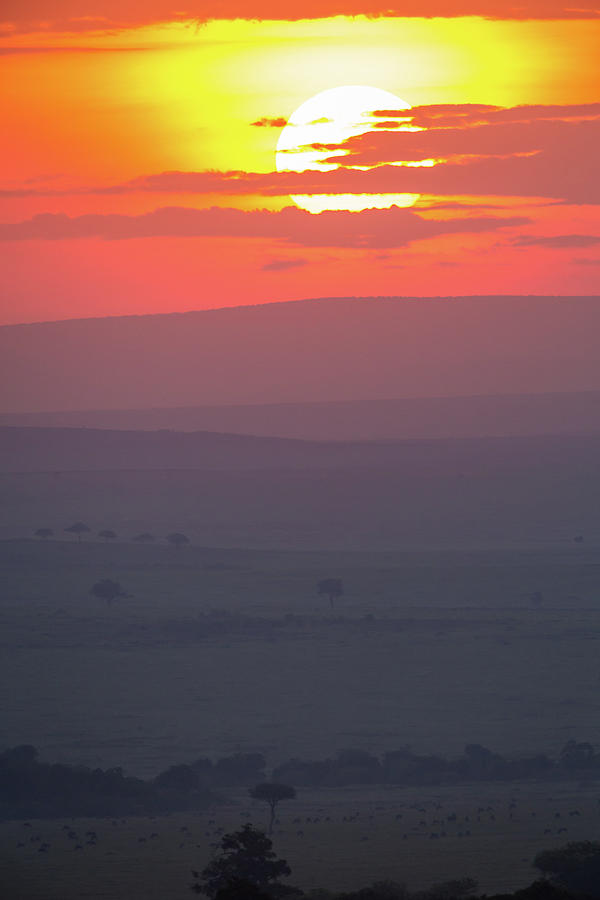 Purple haze in Kenya Photograph by Steven Upton