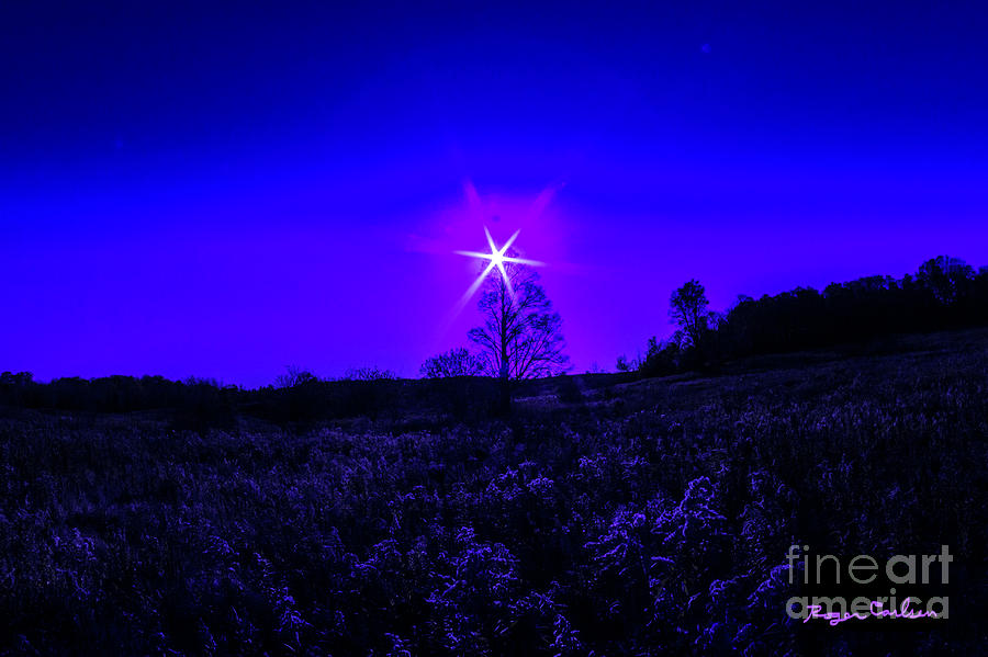 Purple Haze by Roger Carlsen Purple Haze by Roger Carlsen