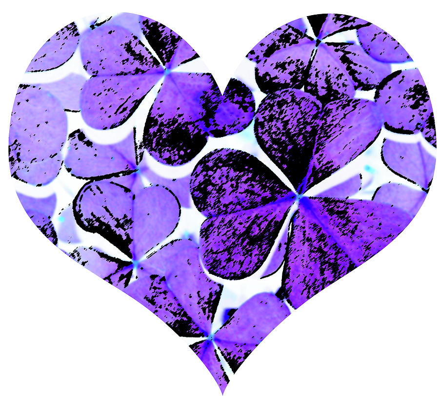 Purple Heart Art Photograph by Kami McKeon