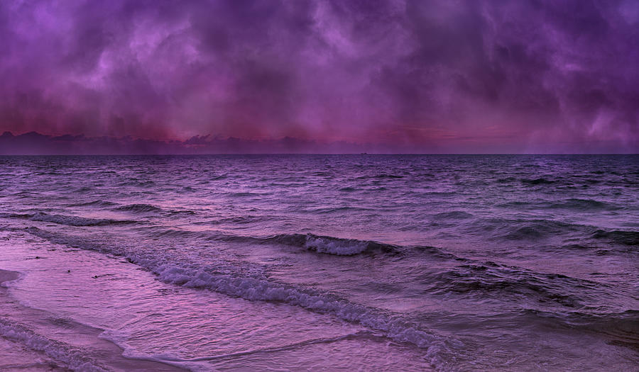 Sunset Photograph - Purple Heart by Betsy Knapp