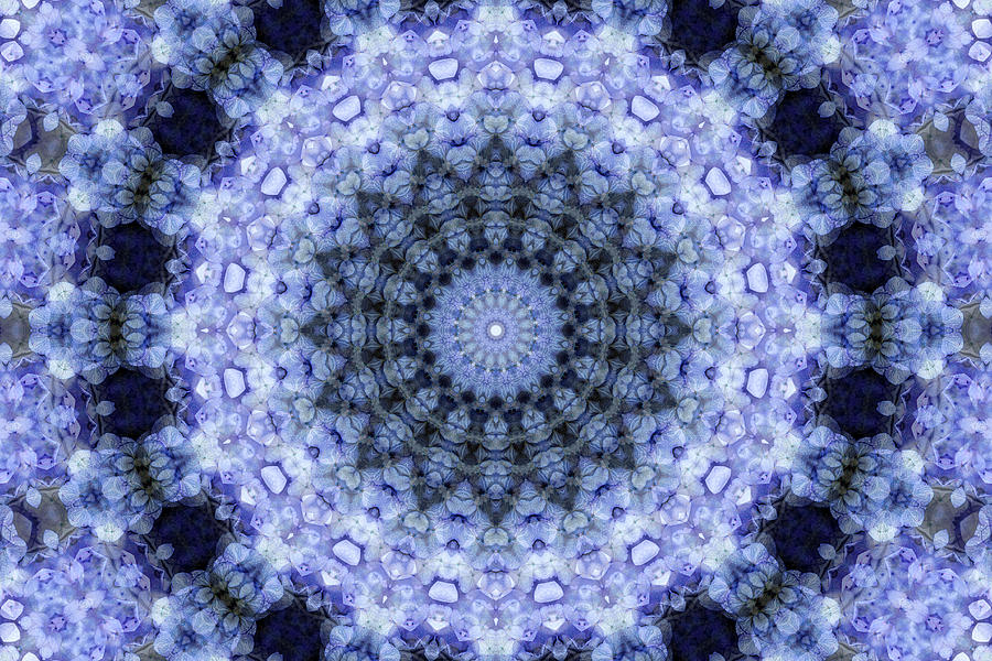 Purple Digital Art - Purple Hydrangea Mandala by Janusian Gallery Purple Digital Art - Purple Hydrangea Mandala by Janusian Gallery