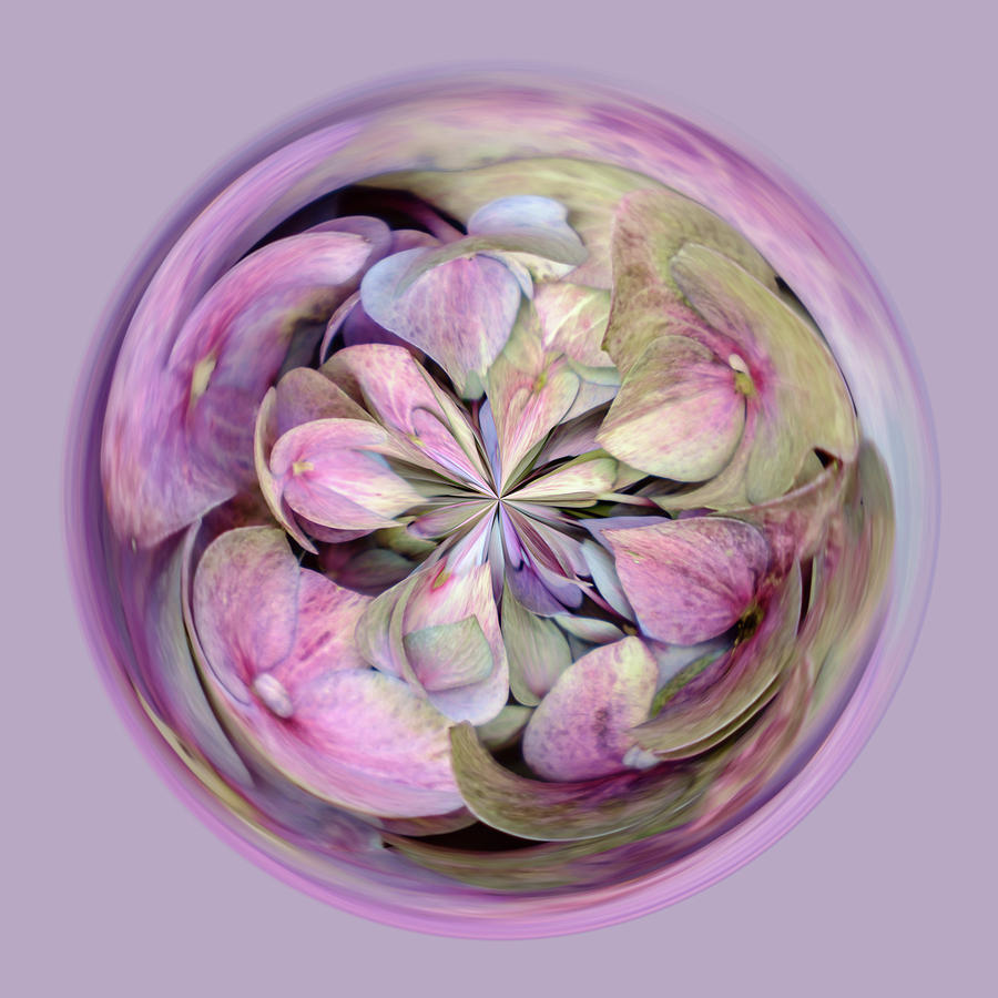 Purple Hydrangea Orb Digital Art by Michelle Whitmore
