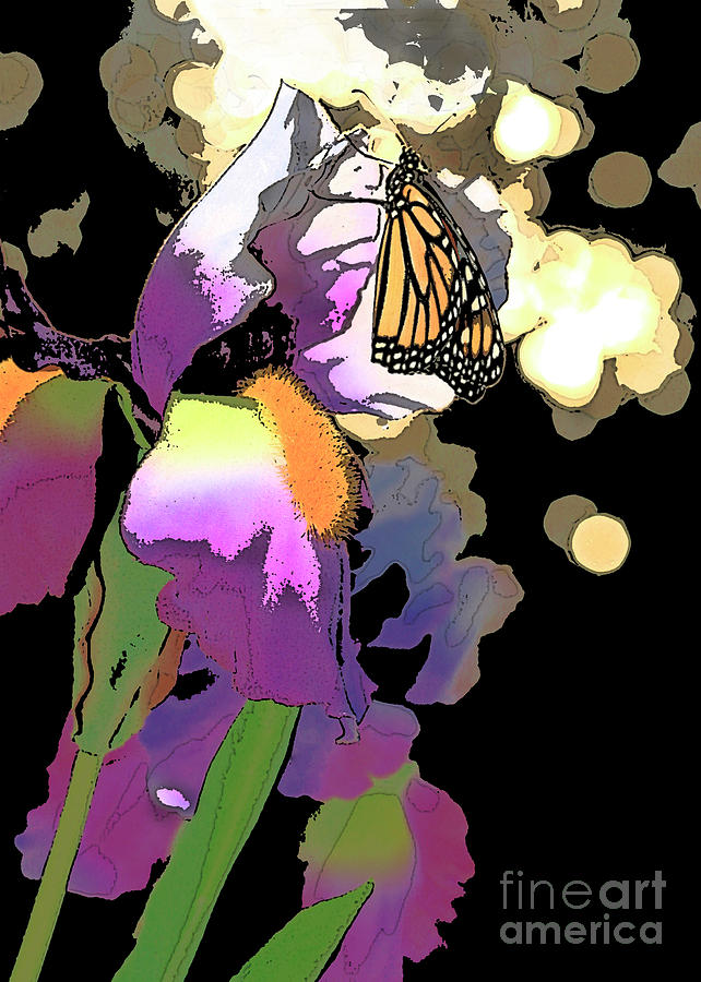 Purple Iris and Butterfly  Photograph by Luana K Perez