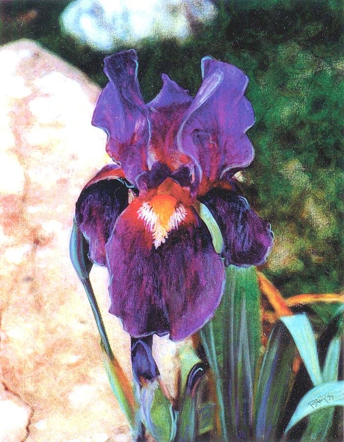 Purple Iris Mixed Media by Banning Lary