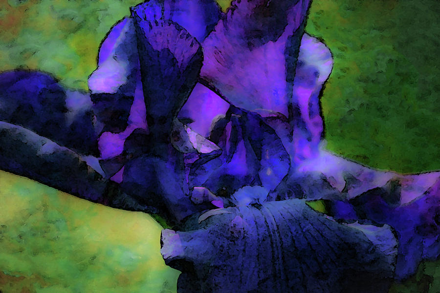 Purple Iris Digital Painting 3121 DP_2 Photograph by Steven Ward