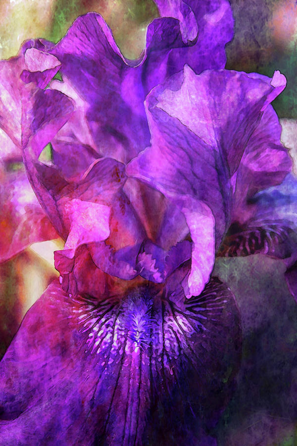 Purple Iris Digital Painting 6147 DP_2 Photograph by Steven Ward