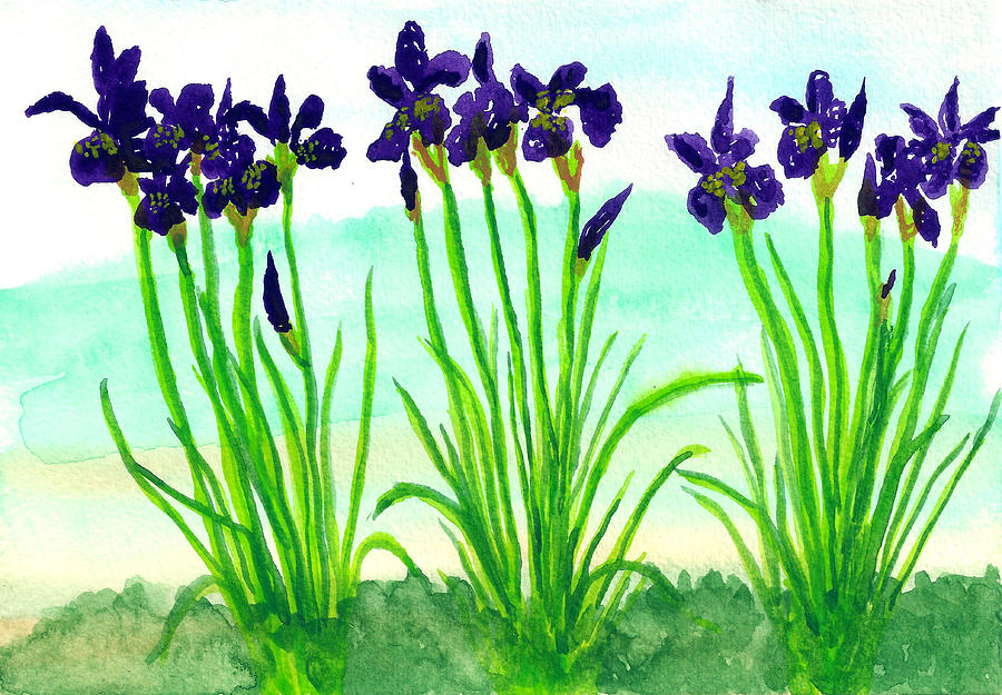 Purple Iris Drawing by Elizabeth Thorstenson Fine Art America