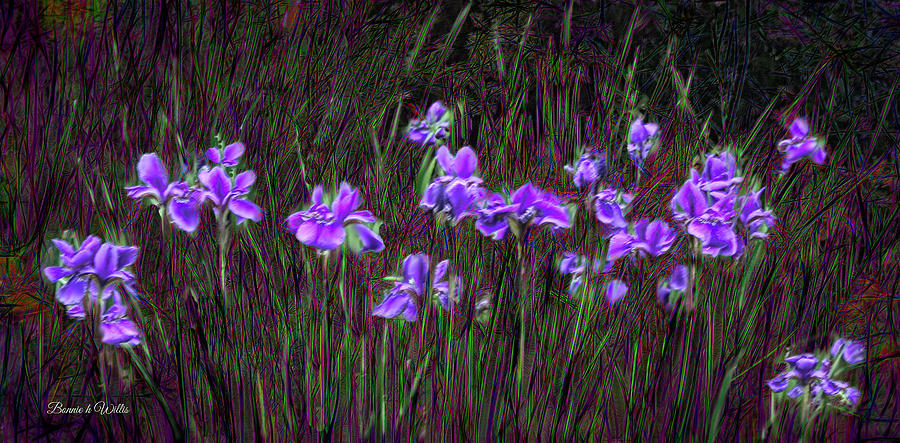 Purple Iris field Digital Art by Bonnie Willis