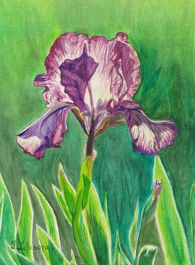 Purple Iris Flower Painting by Yulia Litvinova - Fine Art America