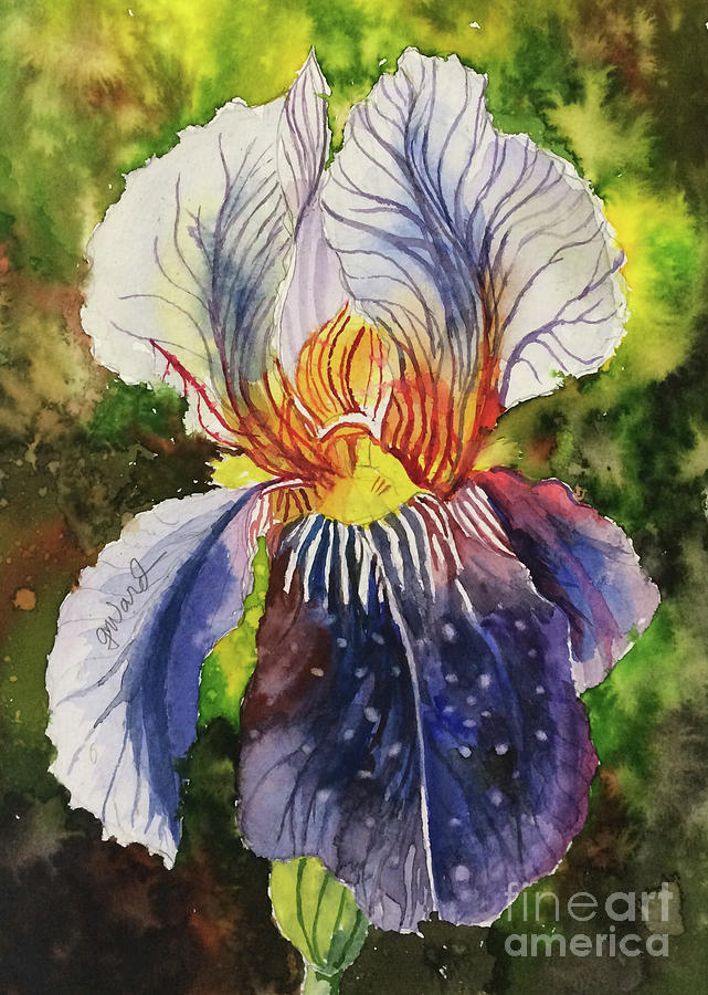 Purple Iris Painting by Glen Ward - Fine Art America