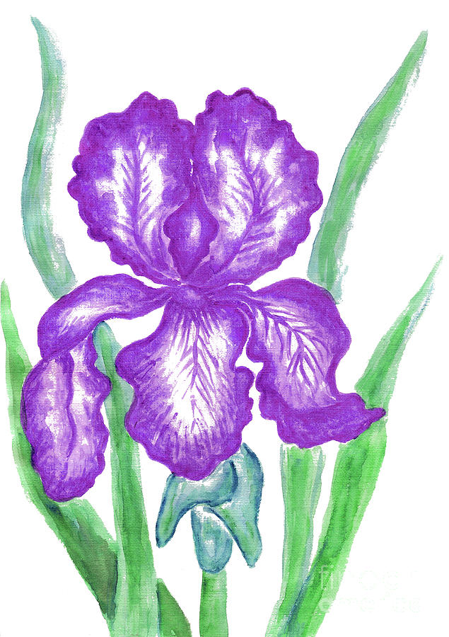 Purple iris Painting by Irina Afonskaya