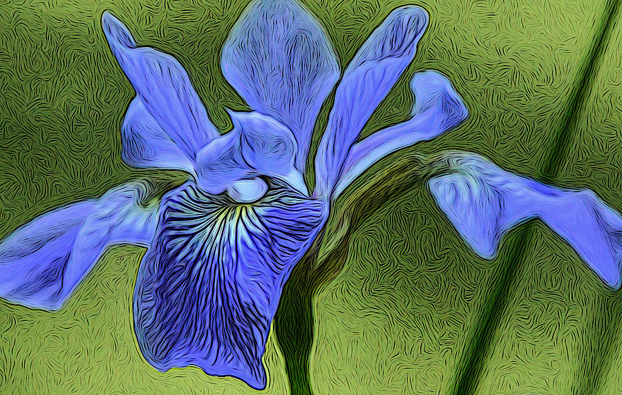 Purple Iris Digital Art by Lynellen Nielsen